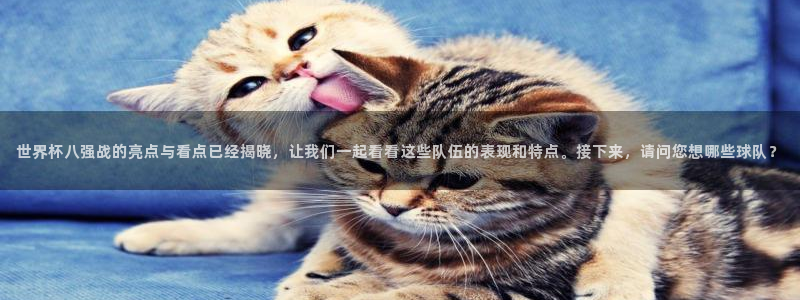 世界杯直播时间:世界杯八强战的亮点与看点已经揭晓,让我们一起看看这些队伍的表现和特点。接下来,请问您想哪些球队?