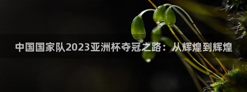 2026葡萄牙杯赛程表：中国国家队2023亚洲杯夺冠之路：从辉煌到辉煌