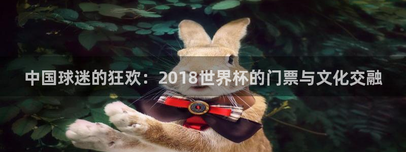 联赛杯直播：中国球迷的狂欢：2018世界杯的门票与文化交融