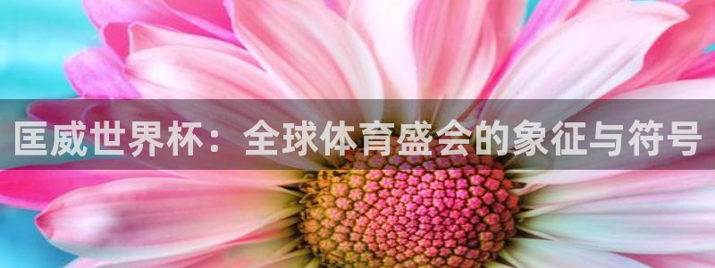 世界杯预选赛赛程：匡威世界杯：全球体育盛会的象征与符号