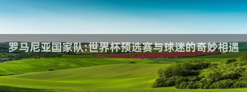 世俱杯直播：罗马尼亚国家队:世界杯预选赛与球迷的奇妙相遇