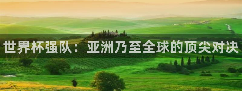 国际足联世界杯：世界杯强队：亚洲乃至全球的顶尖对决