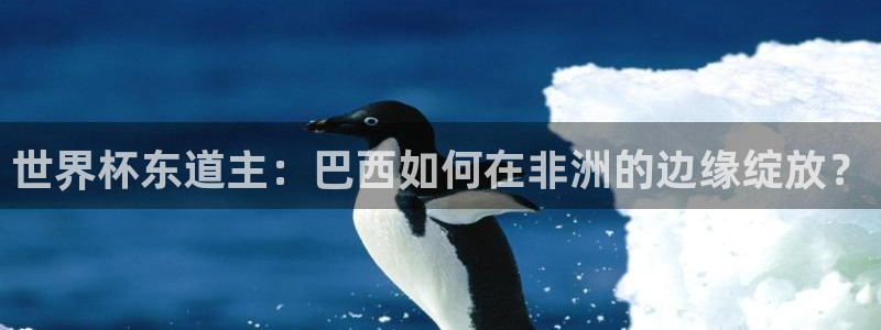欧洲世界杯预选赛：世界杯东道主：巴西如何在非洲的边缘绽放？