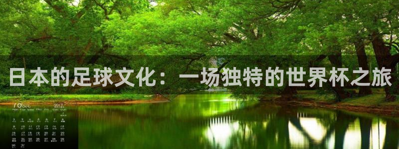 世界杯预选赛2026：日本的足球文化：一场独特的世界杯之旅